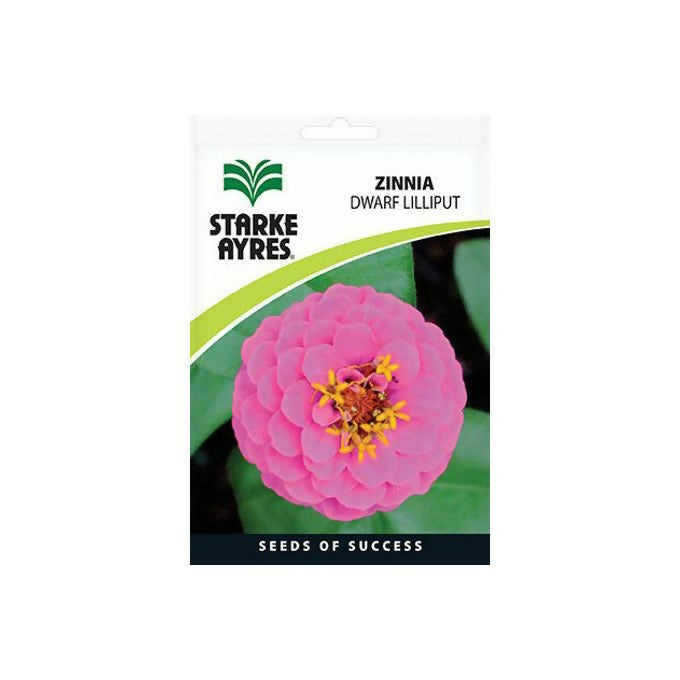 Starke Ayres Zinnia Dwarf Lilliput Flower Seeds