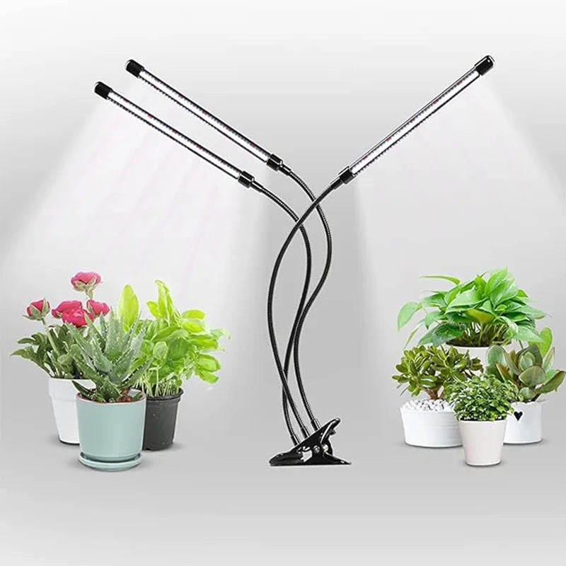 Desk LED Grow Light Plant Lights for Indoor Plants,Full Spectrum With Clip Plant Growing Lamp for Seed Start,Auto On Off Timing