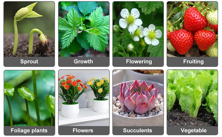 Desk LED Grow Light Plant Lights for Indoor Plants,Full Spectrum With Clip Plant Growing Lamp for Seed Start,Auto On Off Timing