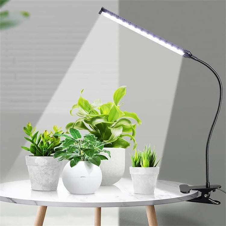 Desk LED Grow Light Plant Lights for Indoor Plants,Full Spectrum With Clip Plant Growing Lamp for Seed Start,Auto On Off Timing