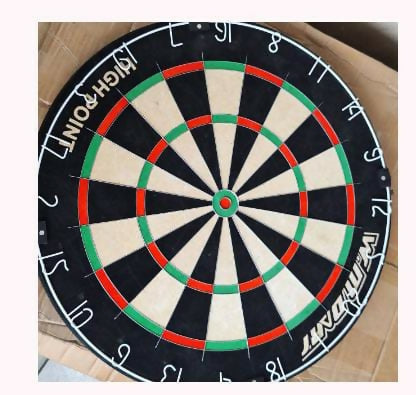 Professional Dart board