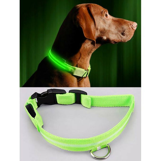 Night Safety Flashing Glow In The Dark Dog Leash