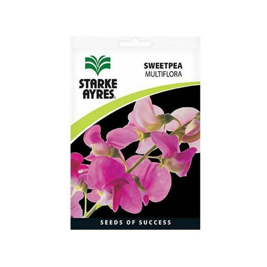 Starke Ayres Sweet Pea Multiflora