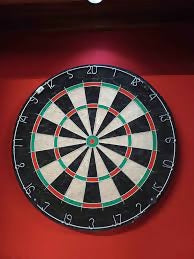 Professional Dart board