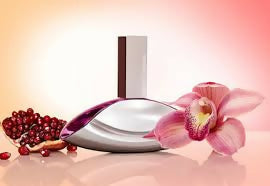 Euphoria For Women EDP 100ml