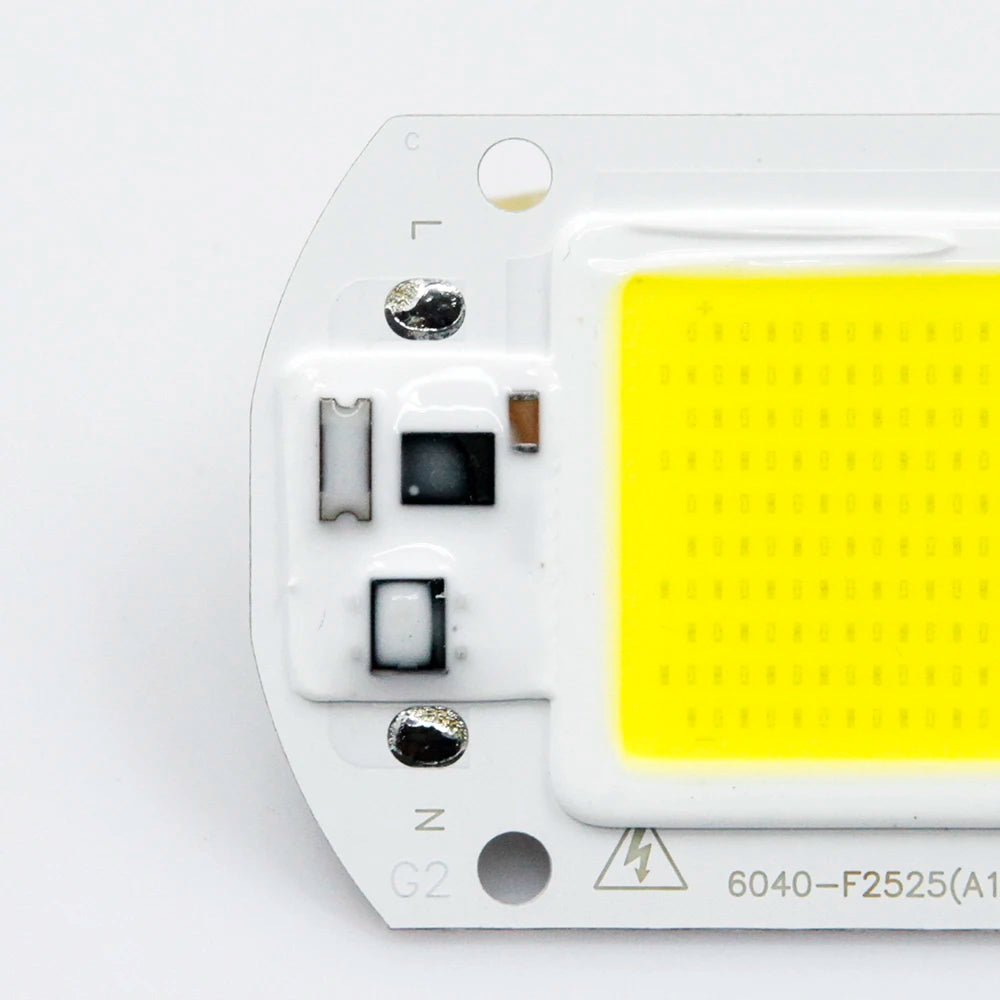 COB LED Lamp 10W 20W 30W 50W AC 220V IP65 Smart IC No Need Driver DIY Chip LED Bulb Flood Light Spotlight Lighting Lampada LED