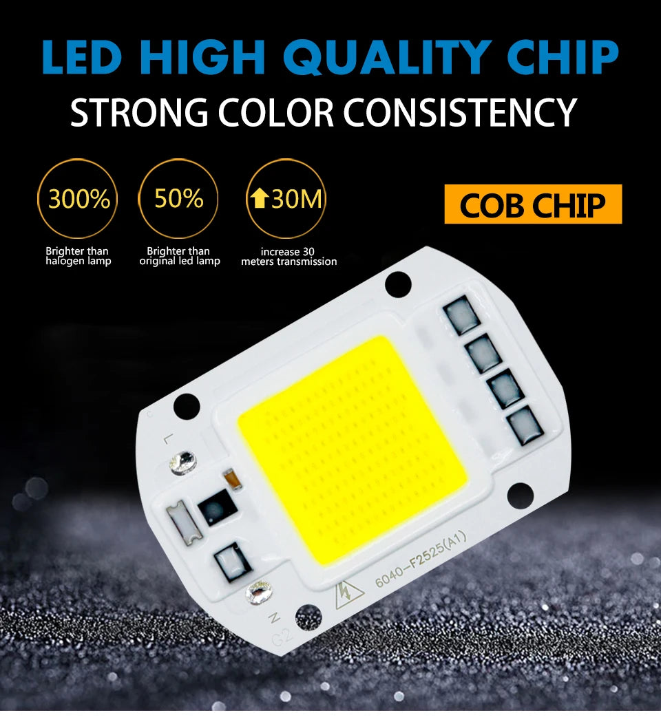 COB LED Lamp 10W 20W 30W 50W AC 220V IP65 Smart IC No Need Driver DIY Chip LED Bulb Flood Light Spotlight Lighting Lampada LED