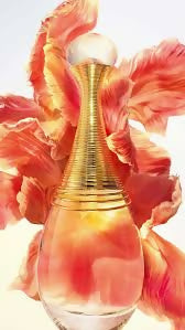 J’Adore For Women EDP 100Ml