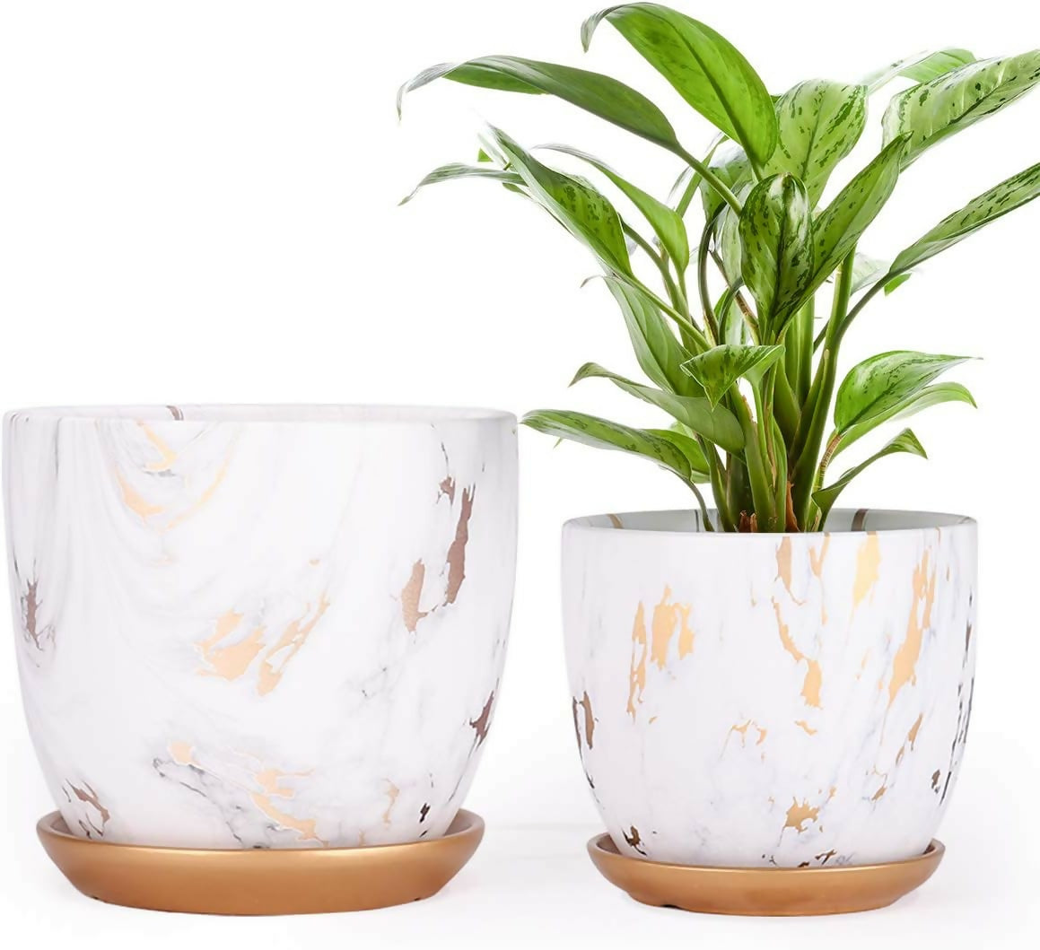 3pcs Ceramic Decorative Flowerpots with Lid