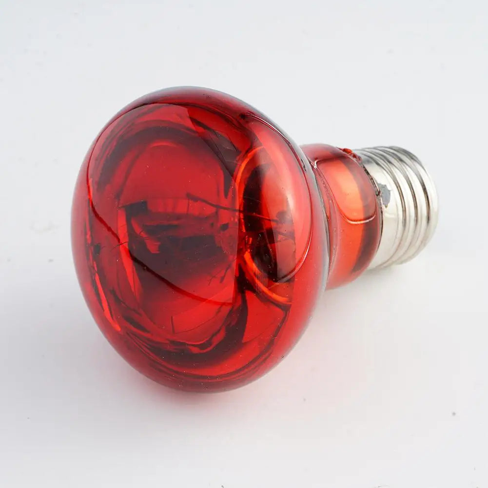 Pet Heating Lamp UVA Day Night Amphibian Amphibian Snake Lamp Heat Reptile Bulb Light Heat Reptile Bulb 25/50/75/100W 220-240V