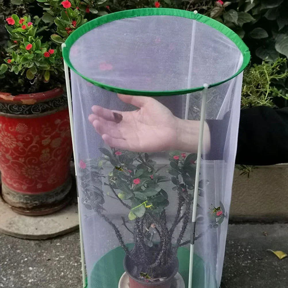 Butterfly Insect Cage Observation Butterflies Habitat Kids Portable Breeding House Visible Insects