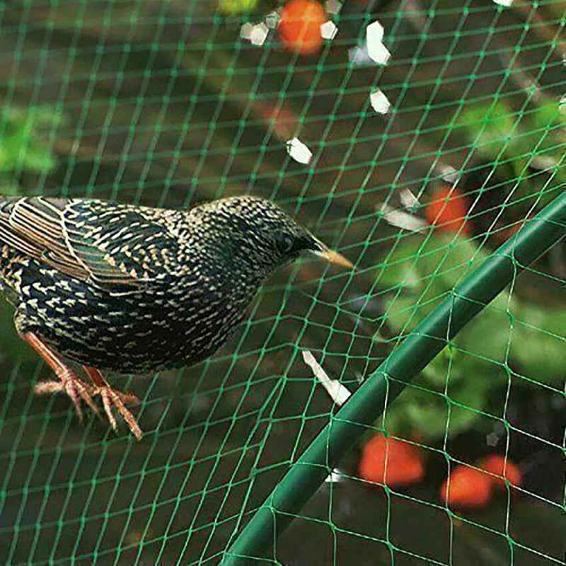 20/10M Anti Bird Protection Net Mesh Garden Plant Netting Plants And Fruit Trees From Birds Deer Poultry Best Fencing