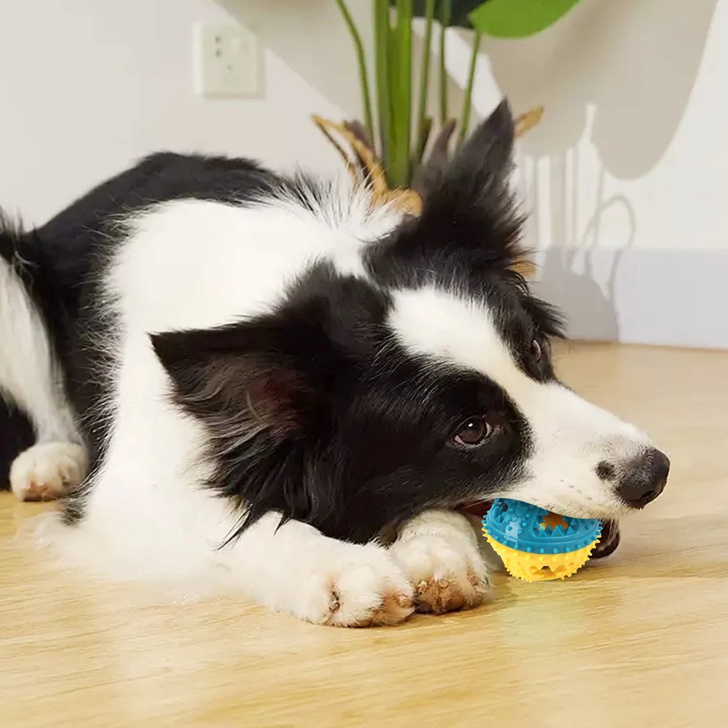 Dog Chew Toys Grinding Teeth Sound Ball Toys Leaking Food Balls Anti Bite Interactive Training Cleaning Teeth Toys Pet Products