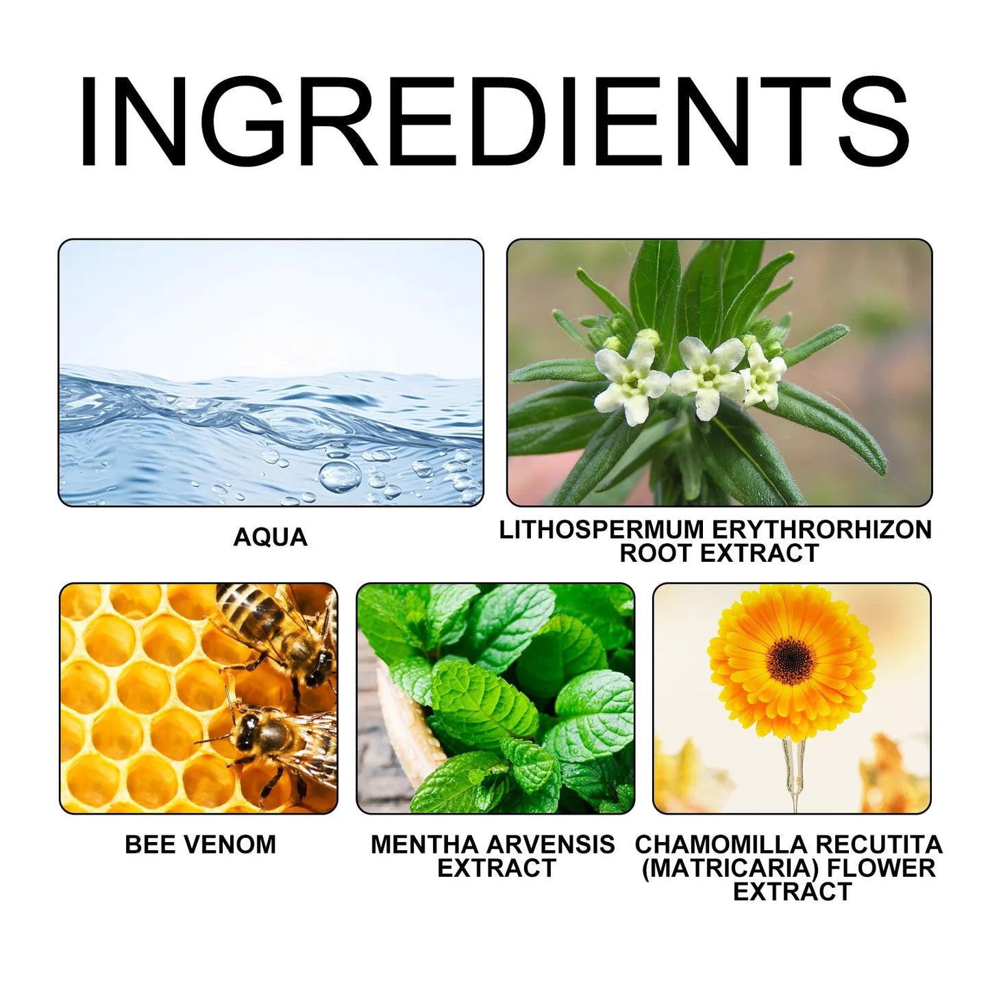 30ML Universal Natural Bee Venom relief cream, Hand And Foot Repaircream, Suitable For Neck, Waist, Back, Hands, Feet And Legs