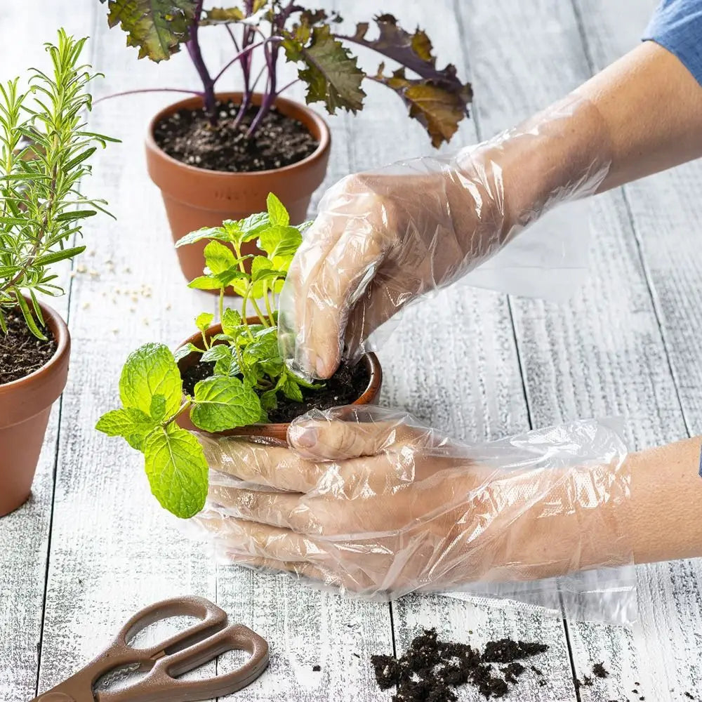 Food Grade Disposable Gloves Portable Non-Slip Acid Work Safety Cleaning Gloves Transparent TPE Latex Free Gloves Wholesale