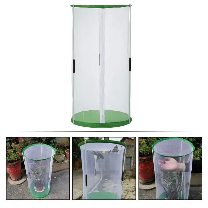 Butterfly Insect Cage Observation Butterflies Habitat Kids Portable Breeding House Visible Insects