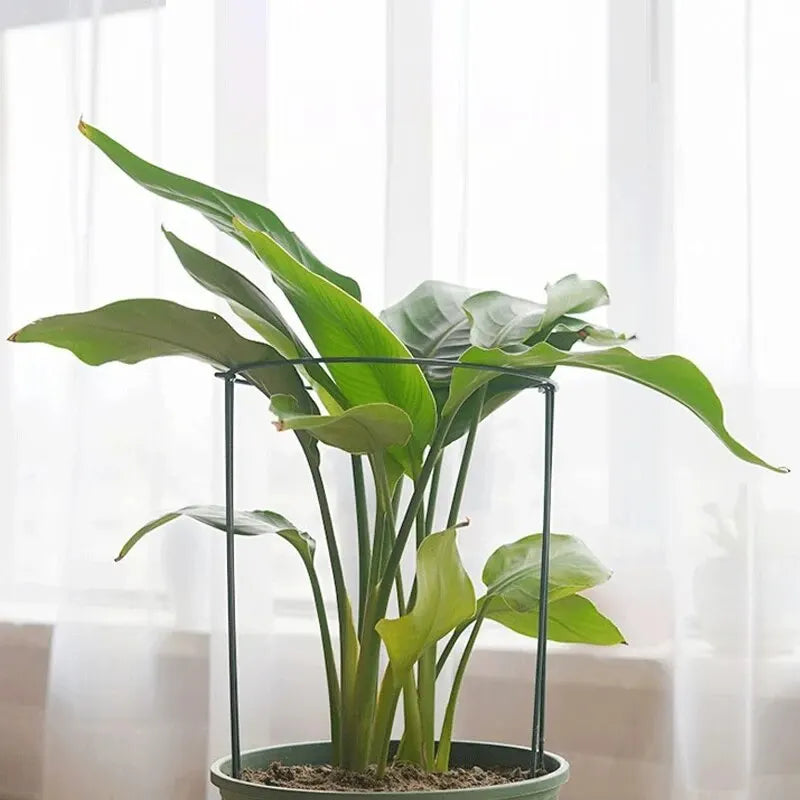 6pcs Tall Plant Support Stakes Metal Half Round Garden Plant Cage And Support Green Plant Support Ring Border For Flower Indoor