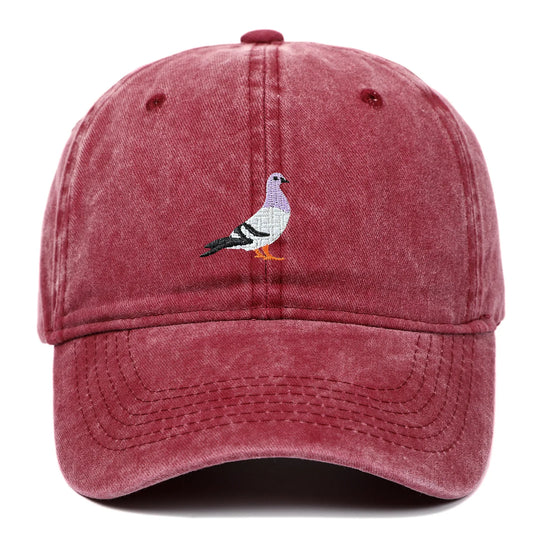 Spring New Pigeon Embroidery, Water Wash, Sun Protection Sun Hat for Men and Women Outdoor Sports, Fishing, Sun Protection Baseb