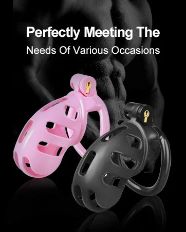 Male Chastity Dragon Lock  Device Comfortable To Wear Bird Cage Ring Male SM Penis Bondage Cage Penis Training Toy Adult Product