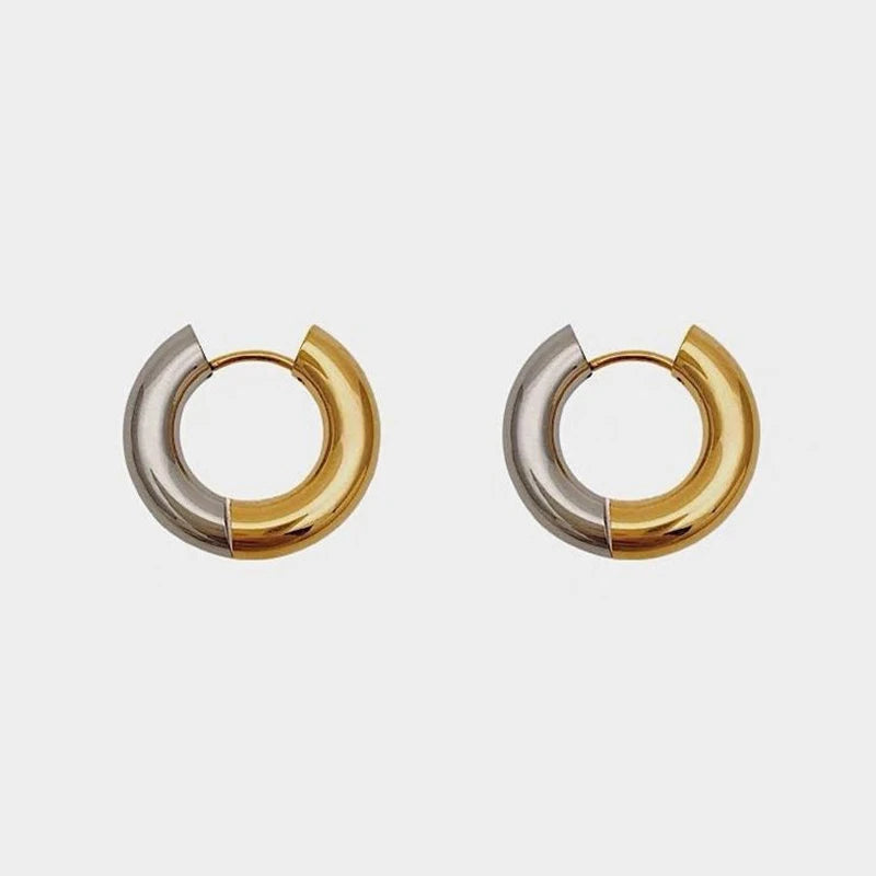 Gold Silver Color Stainless Steel Round Earrings For Women's Simple  Fashion  Hip-hop Rock Jewelry Accessories