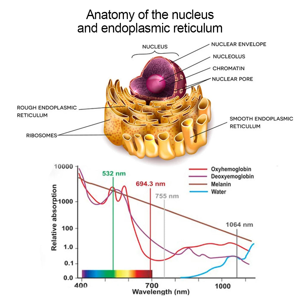 15 Laser 650nm Laser Therapy Wrist Watch LLLT for Diabetes Hypertension Cholesterol Treatment Laser Rhinitis Physiotherapy