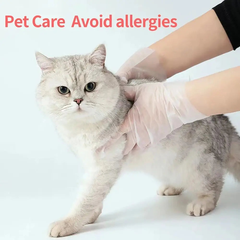 Food Grade Disposable Gloves Portable Non-Slip Acid Work Safety Cleaning Gloves Transparent TPE Latex Free Gloves Wholesale