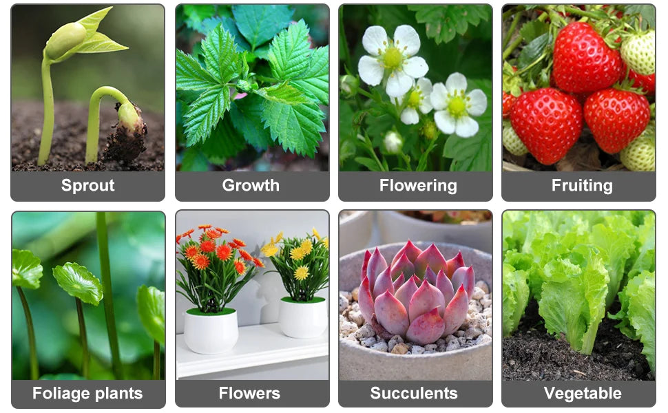 Desk LED Grow Light Plant Lights for Indoor Plants,Full Spectrum With Clip Plant Growing Lamp for Seed Start,Auto On Off Timing