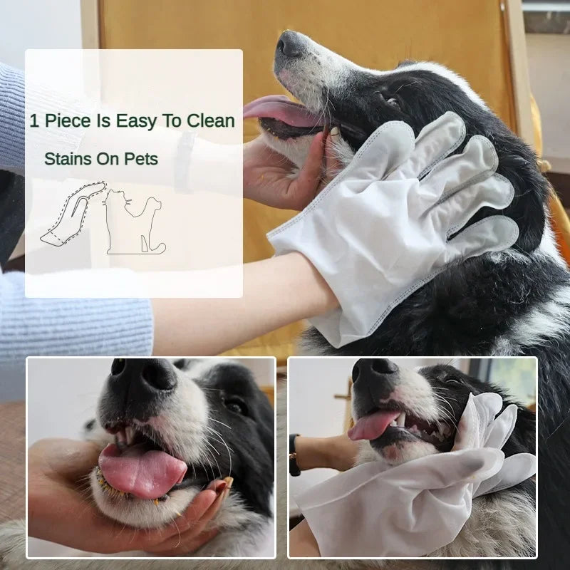 6pcs Pet Disposable Gloves Dog Bath Cleaning Wipes Mild Deodorizing Full Body Special Cleaning Gloves Cat Grooming Supplies