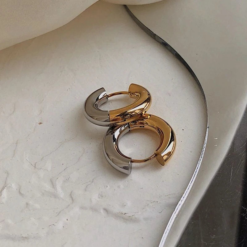 Gold Silver Color Stainless Steel Round Earrings For Women's Simple  Fashion  Hip-hop Rock Jewelry Accessories