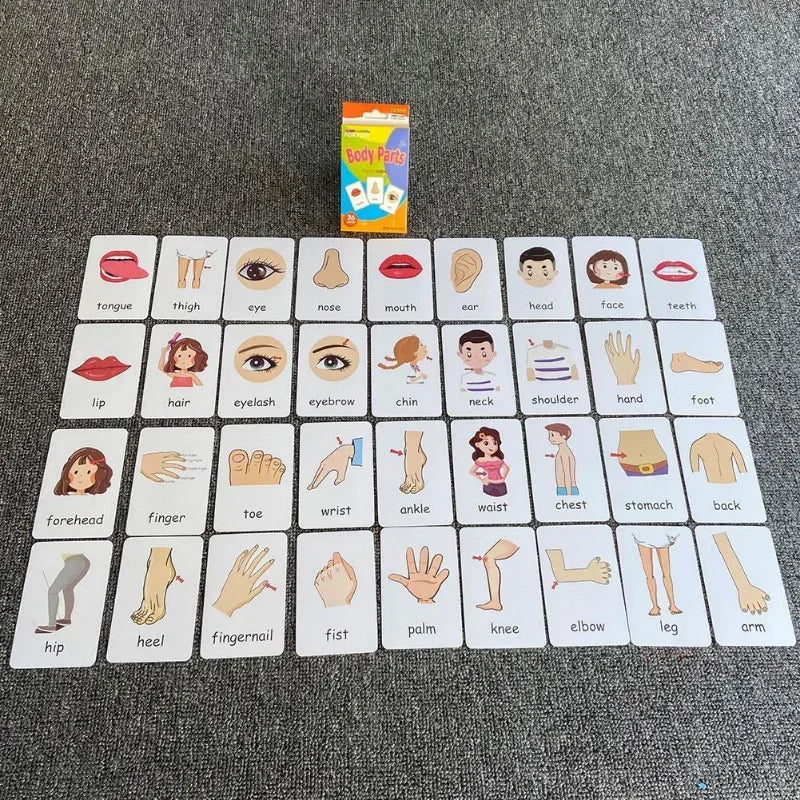Flash Card Cognition Game Montessori Animal Fruits Body Learning Double Side Early Educational Toys For Kids Children Gift