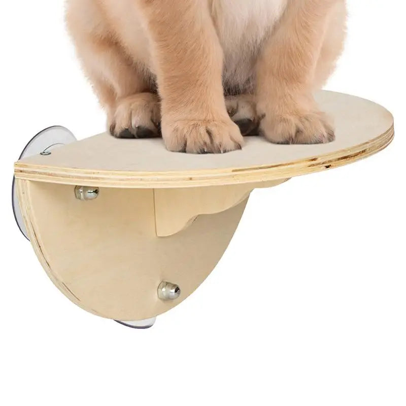 Cat Perch Hammock With 3 Suction Cups Space Saving Window Sill Kitten Climbing Shelf And Perches Bed Furniture Pet Jumping