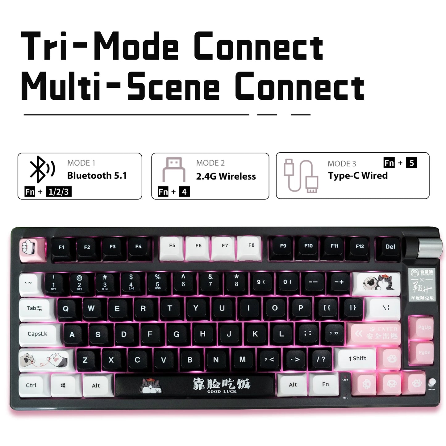 ASL & Supremo Cat Co-Branded Mechanical Keyboard Tri-Mode 2.4G Bluetooth Wireless Wired 79 Key 75% Layout RGB Gaming Keyboard