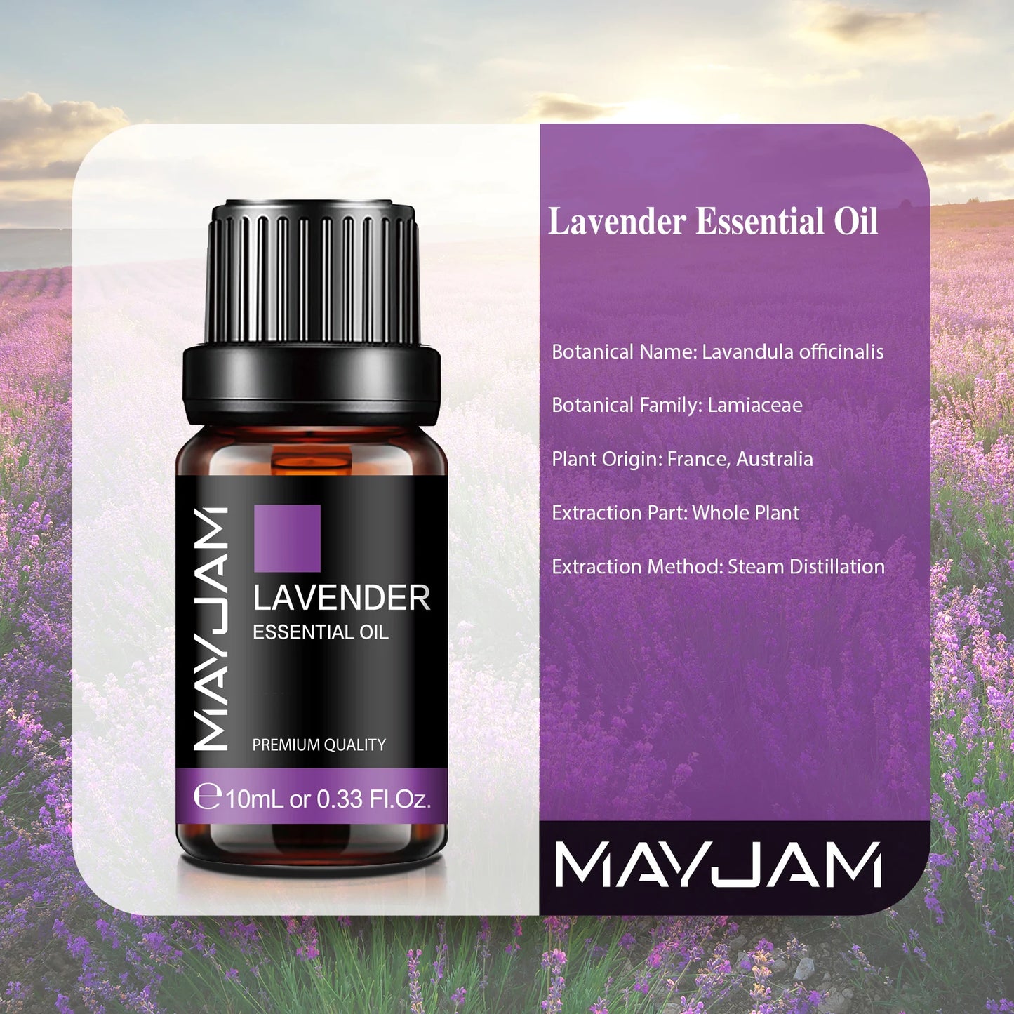 MAYJAM 10ML Lavender Lemongrass Jasmine Vanilla Eucalyptus Rose Lemon Essential Oil For Humidifier Diffuser Candle Making