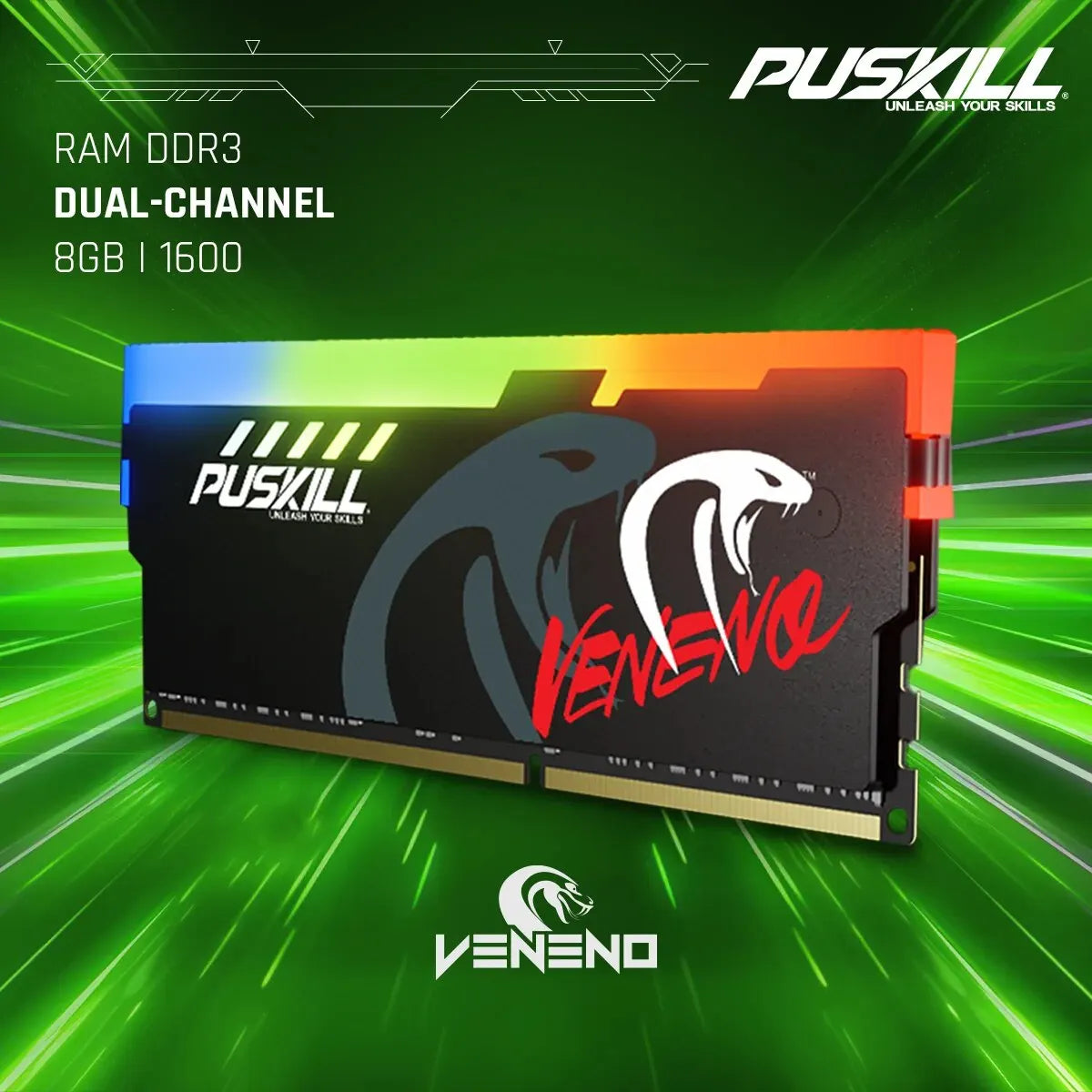 PUSKILL Memoria RAM RGB DDR3 8GBx2 1600MHz 12800S Udimm Dual Channel DIMM Desktop Memory Rams