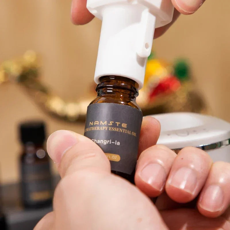 NAMSTE Car Air Freshener Luxury 6-Pack 10ML Diffuser Flavoring Premium Hotel Collection Fragrance Oils Car Aromatherapy Machine