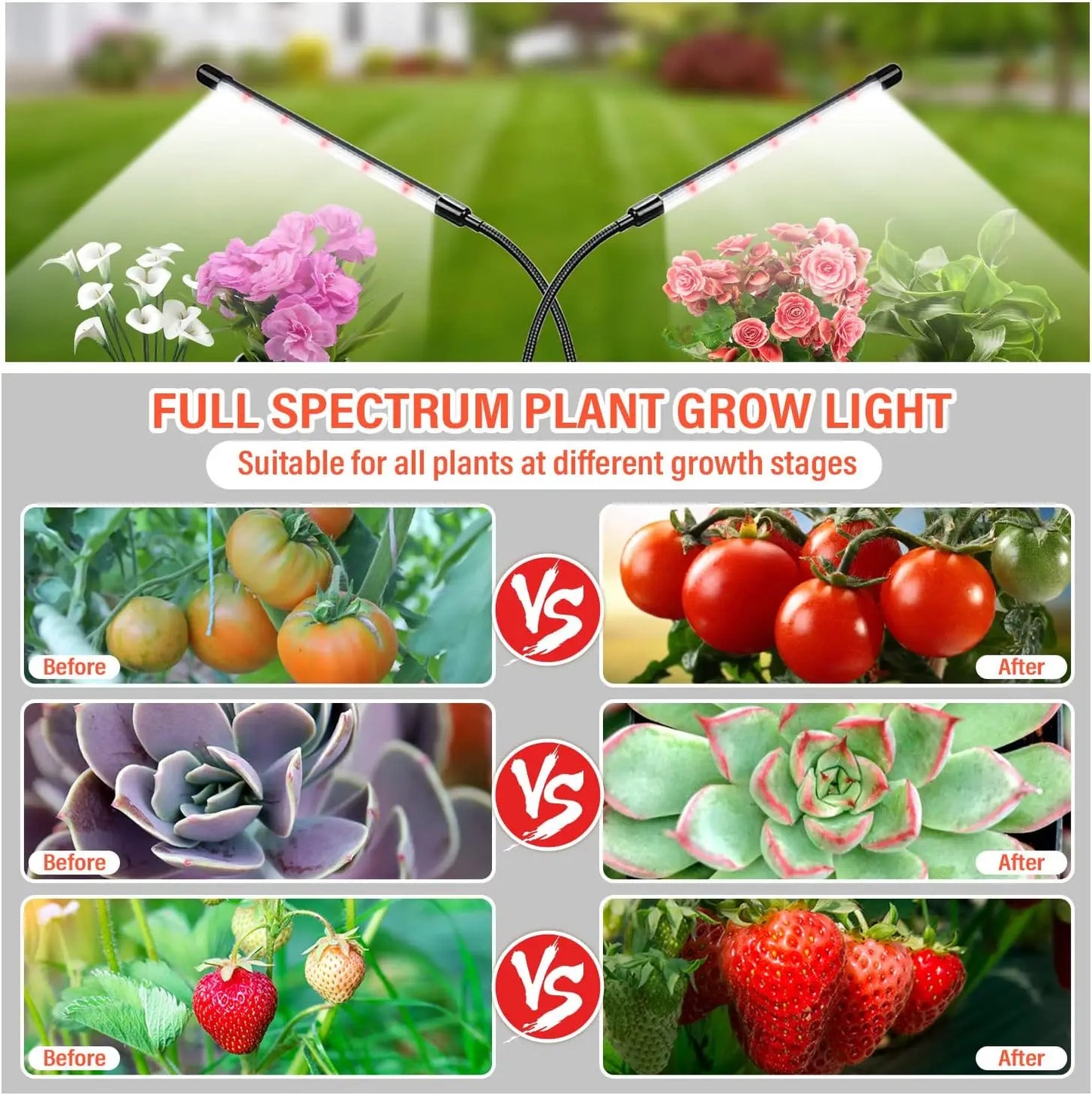 Desk LED Grow Light Plant Lights for Indoor Plants,Full Spectrum With Clip Plant Growing Lamp for Seed Start,Auto On Off Timing