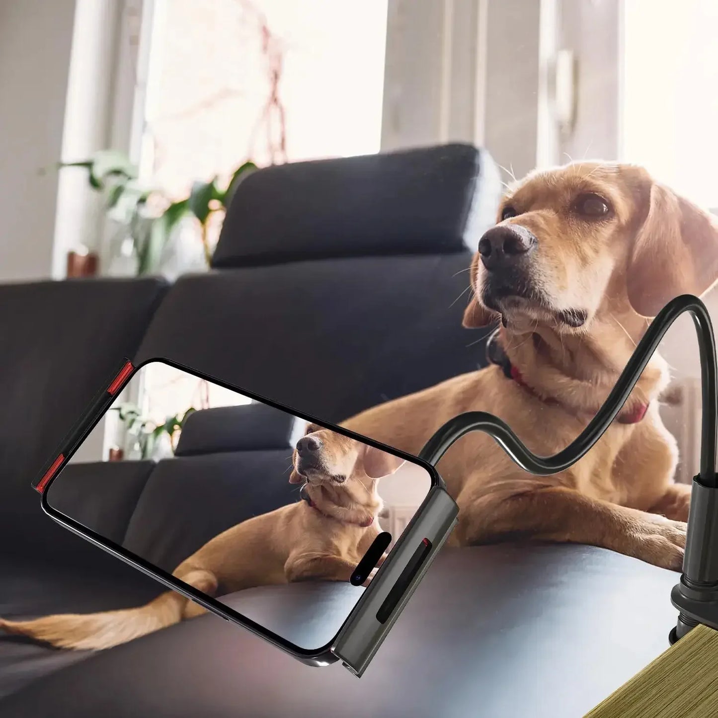 360 Degrees Lazy Bed Gooseneck Cell Phone Tablet Stand Adjustable Flexible Arm Mount Clip IPad Tablet IPhone Samsung Accessories