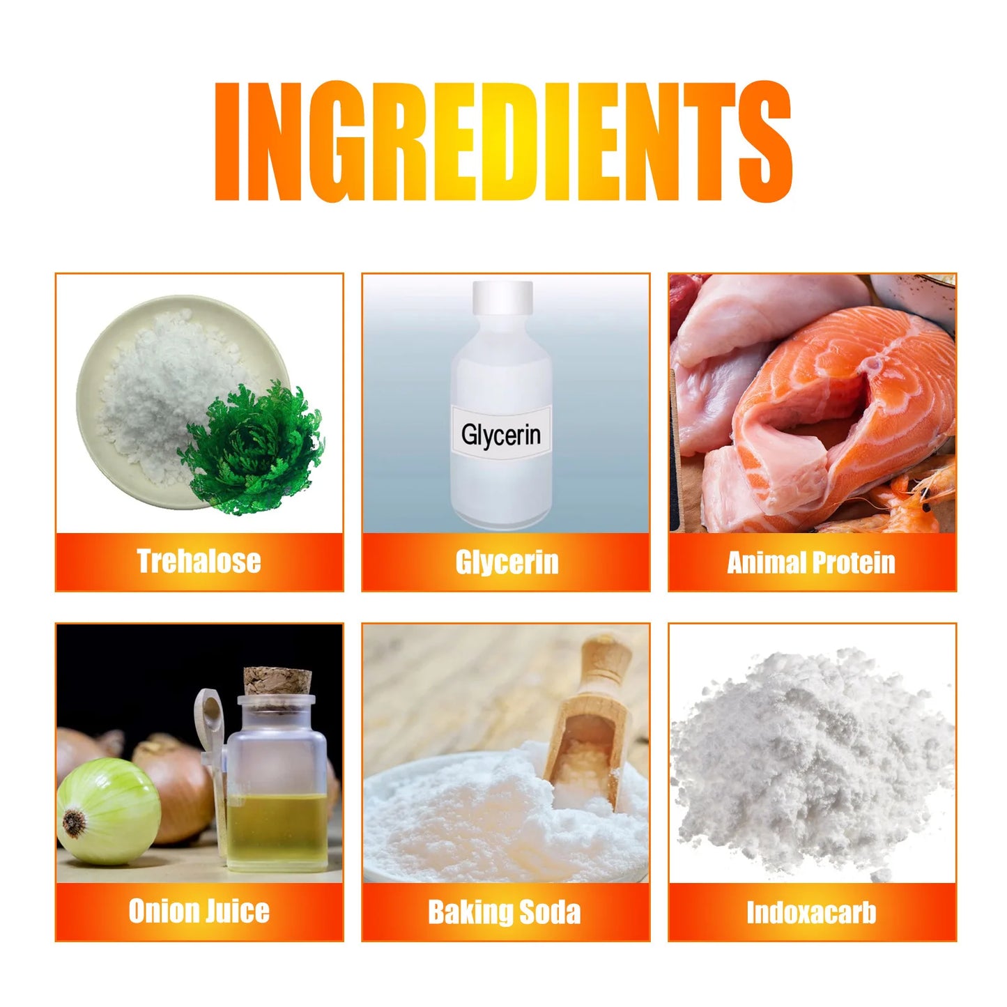 Jue-Fish Cockroach Bait Gel for Cleaning Indoor Kitchen Household Cockroach Bait