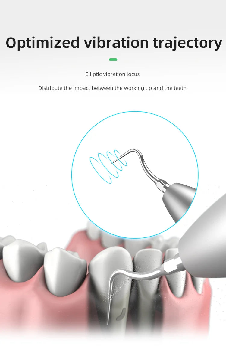 INSEX B-type ultrasonic medical dental cleaning machine, pet beauty salon, dental stone removal, dental cleaning machine