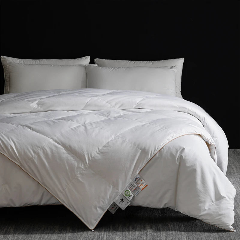 Queen Size 4-Season Combo: Goose Down + Silk Duvet - Guest Room Ready, Wrinkle-Free Cover