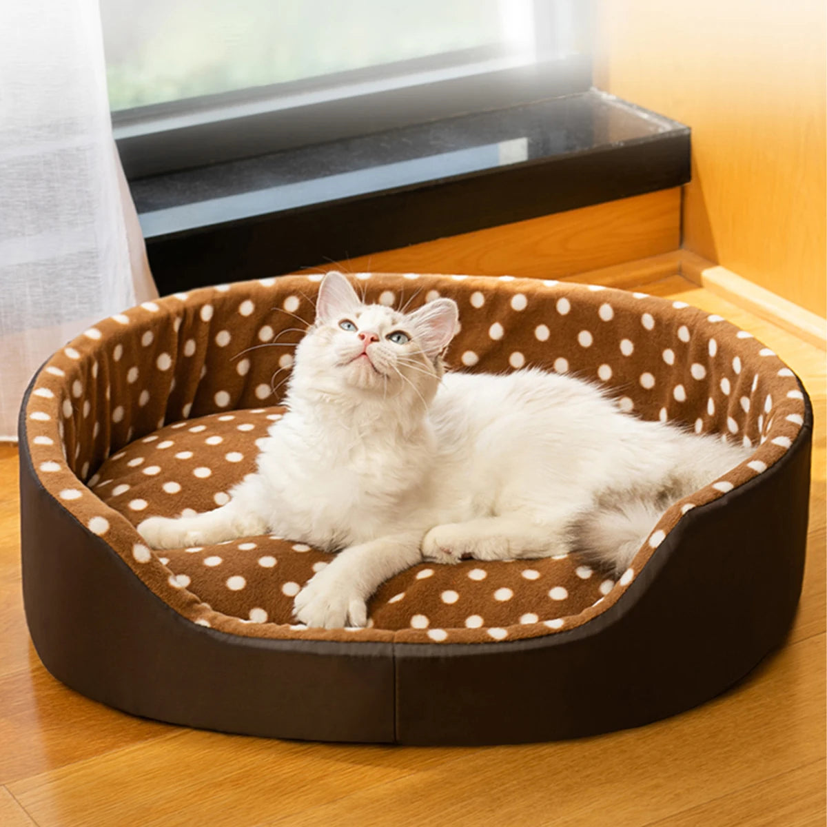 Cats Bed  Pets Beds & Furnitures Goods Pet Products Furniture Houses and Habitats Supplies Things Sofa For Cat Home Accessories