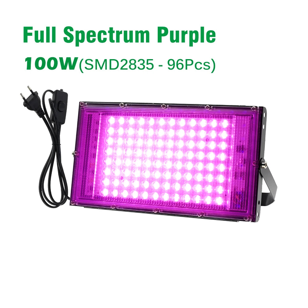 Full Spectrum LED Grow Light 50W 100W Imitated Sunlight Phyto Lamp For Greenhouse Hydroponic Plant Growth Lighting