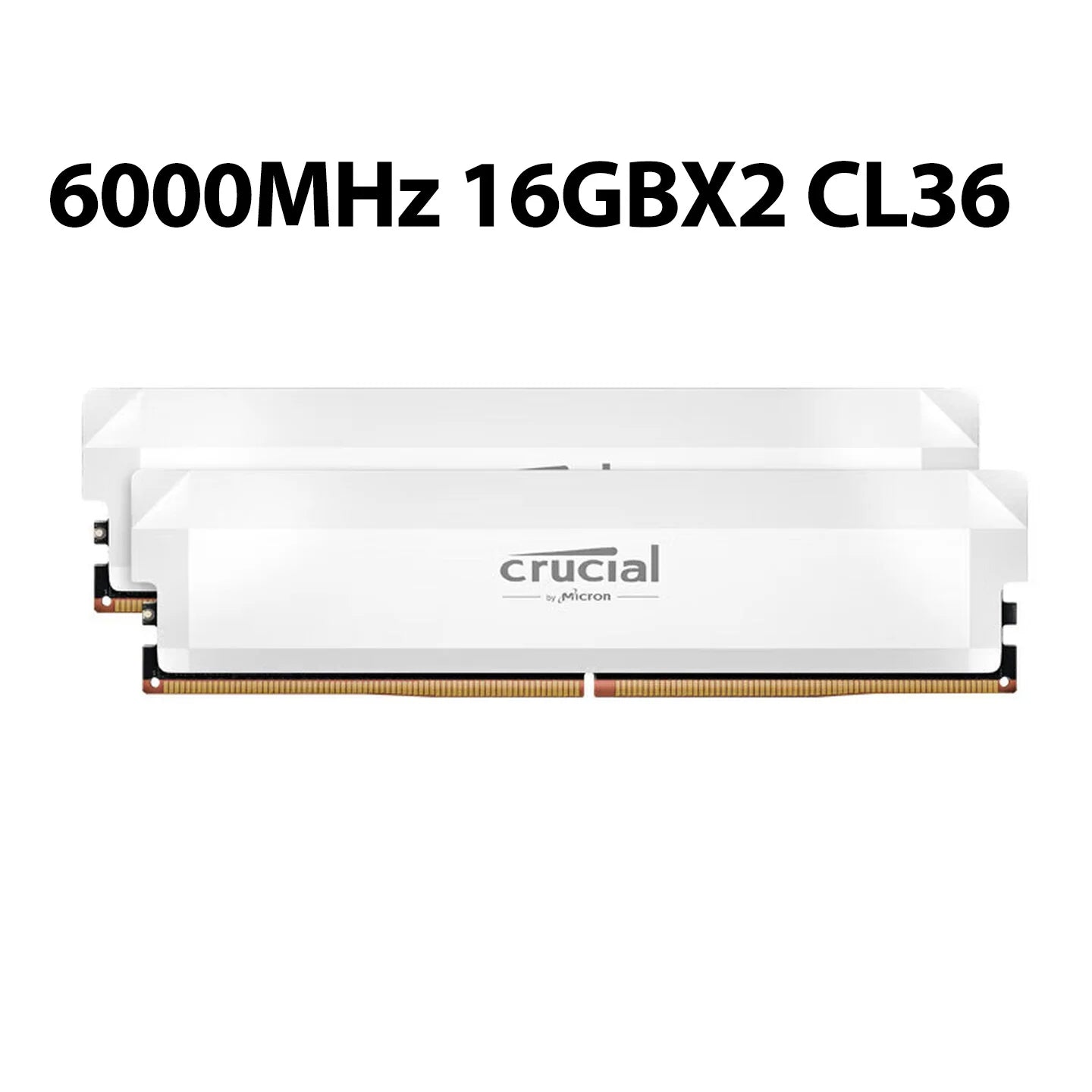 Crucial Pro DDR5 RAM 16GBx2 6400MHz 6000MHz Overclocking Desktop Gaming Memory Intel XMP 3.0 & AMD EXPO Compatible for PC Gamer