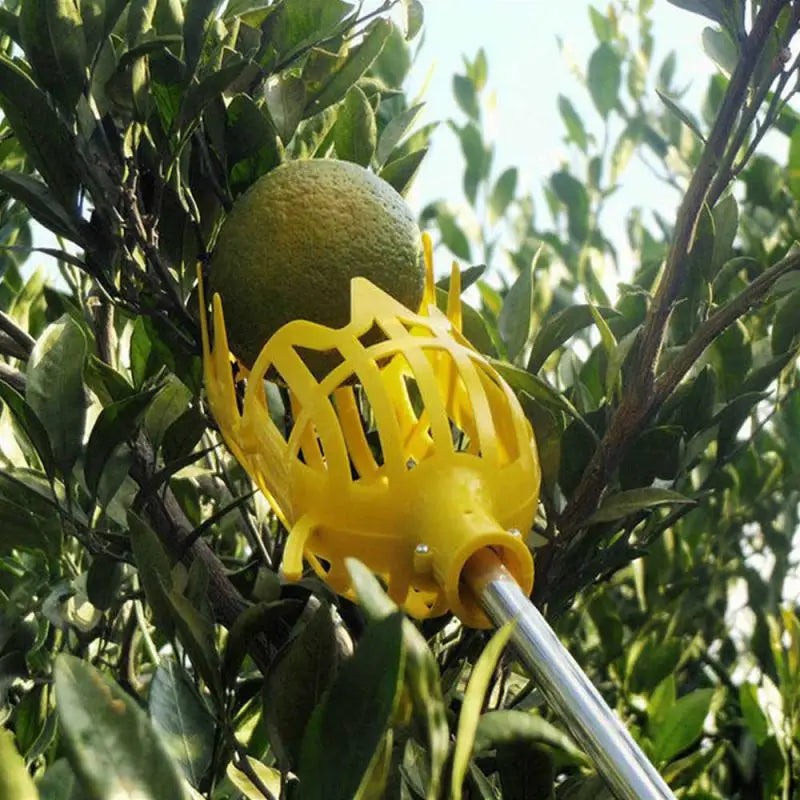 Garden Basket Fruit Picker Head Multi-Color Plastic Fruit Picking Tool Catcher Agricultural Bayberry Jujube Picking Supplies