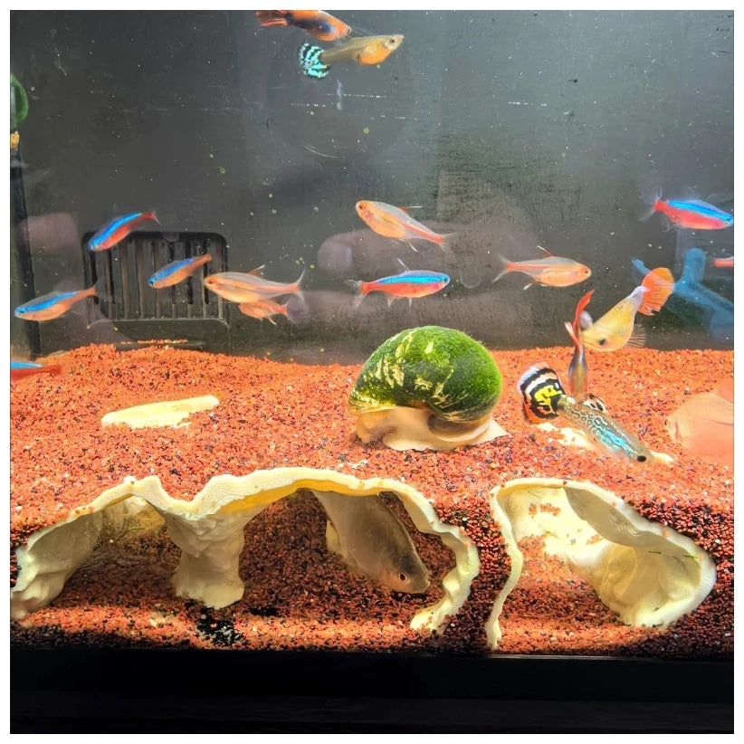 Fish Tank Underground Cave for Fish Shrimp Reptile Shelter Hiding Houses, Landscaping Ornaments 3D Printing Aqaurium Decorations
