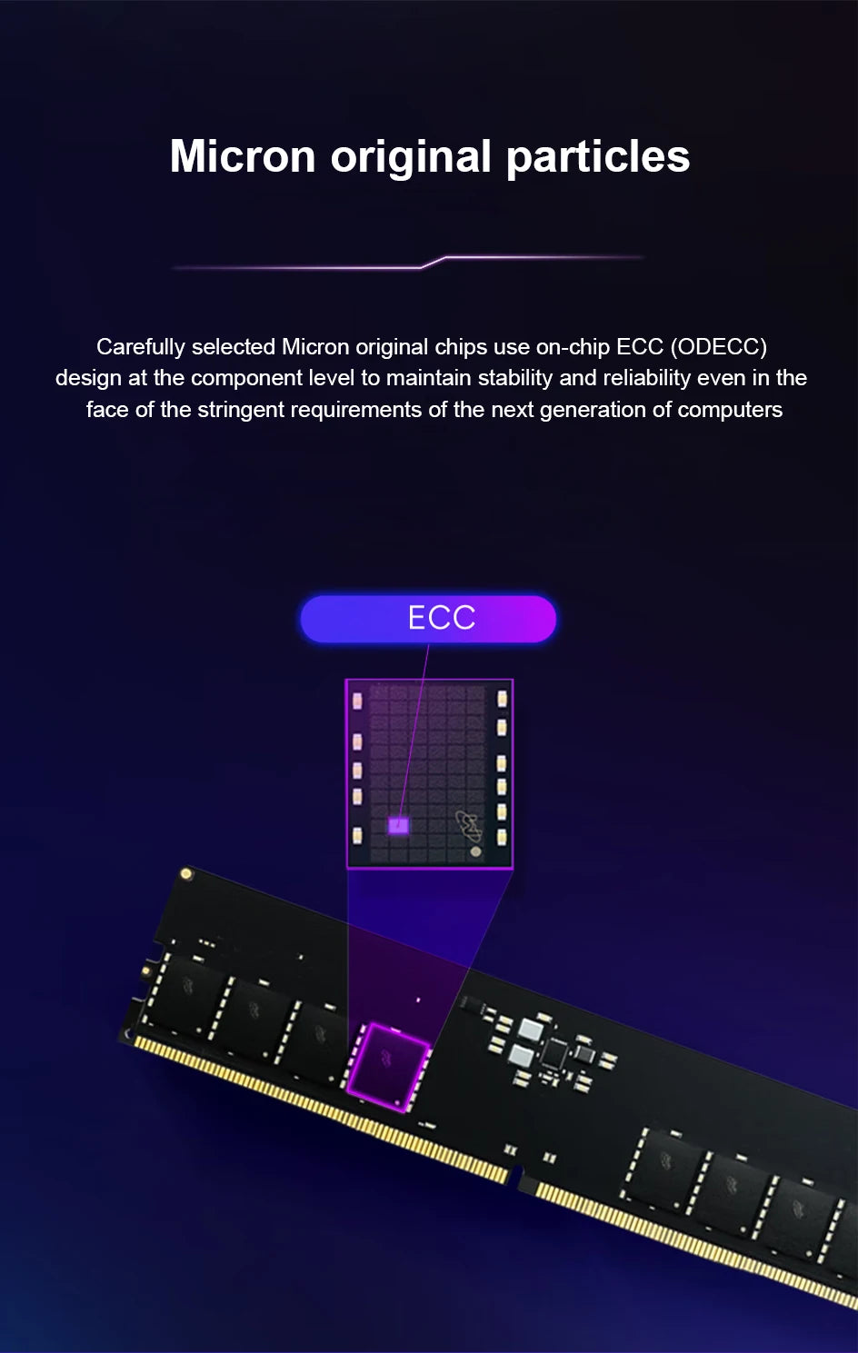 Crucial Pro DDR5 RAM 16GBx2 6400MHz 6000MHz Overclocking Desktop Gaming Memory Intel XMP 3.0 & AMD EXPO Compatible for PC Gamer