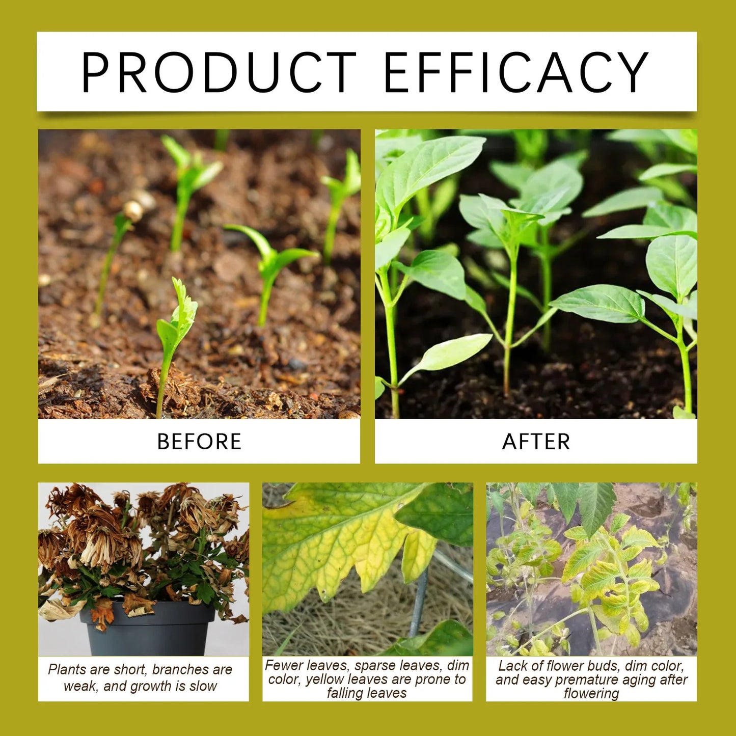 100ml Succulent Root Booster - Rapid Rooting Stimulator, Potted Plant Nutrient Fertilizer for Healthy Root Development