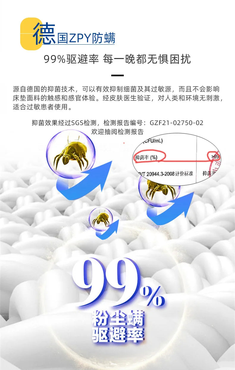 Star Hotel Bed and Breakfast Mattress Double Layer Independent Bag Spring Five Mini   Latex Cotton New