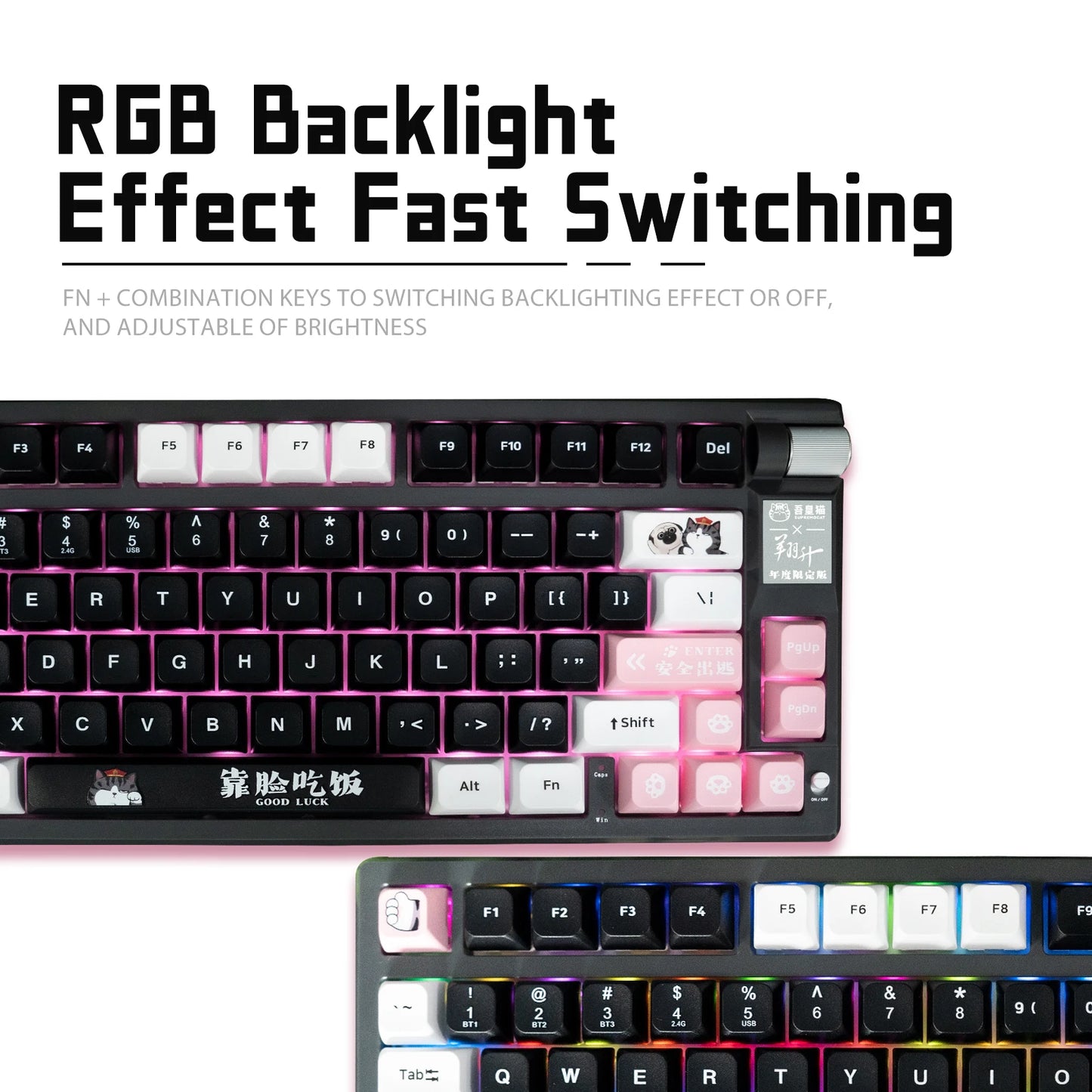 ASL & Supremo Cat Co-Branded Mechanical Keyboard Tri-Mode 2.4G Bluetooth Wireless Wired 79 Key 75% Layout RGB Gaming Keyboard