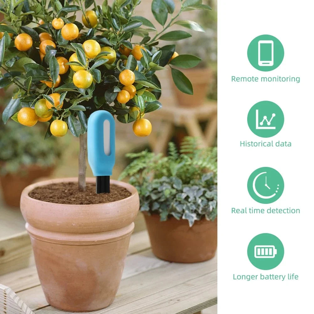 Tuya/Zigbee Smart Soil Tester Wifi Humidity Temperature Moisture Sensor Mobile phone APP Real Time Monitor for Plant Garden